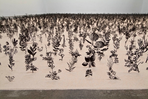 Zadok Ben David: Blackfield, 2007-09, painted stainless steel and sand, ht. of plants. 1-20 cms