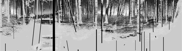 Yehudit Sasportas -Lightworkers13a