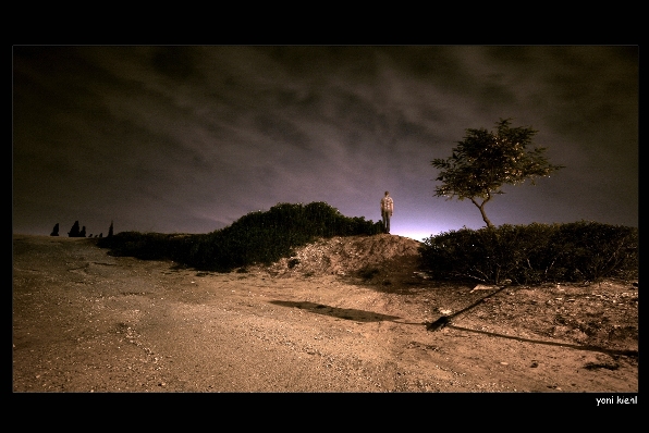 midnight watchs