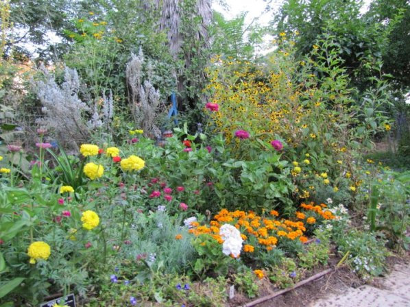 botanicgardens_ezralevy