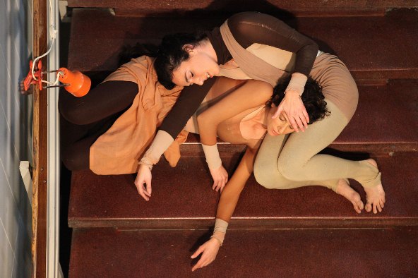 gluya ensemble amit