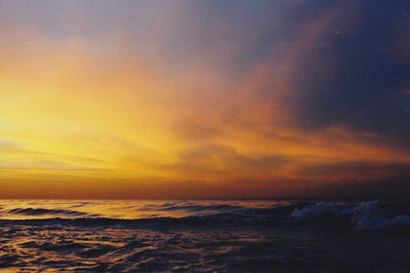 Photo: Aviv Noiman