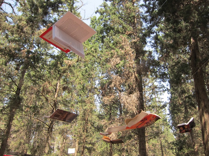Yaarot Menashe 2013: words on the air/Photo: Ayelet Dekel